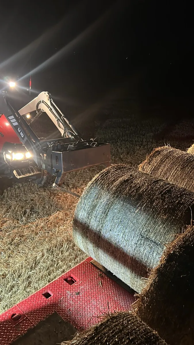 Barley Straw - Image 3