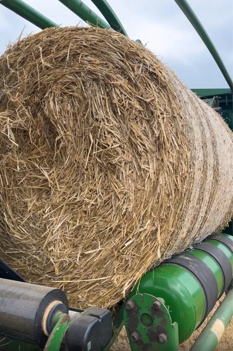Barley Straw - Image 1