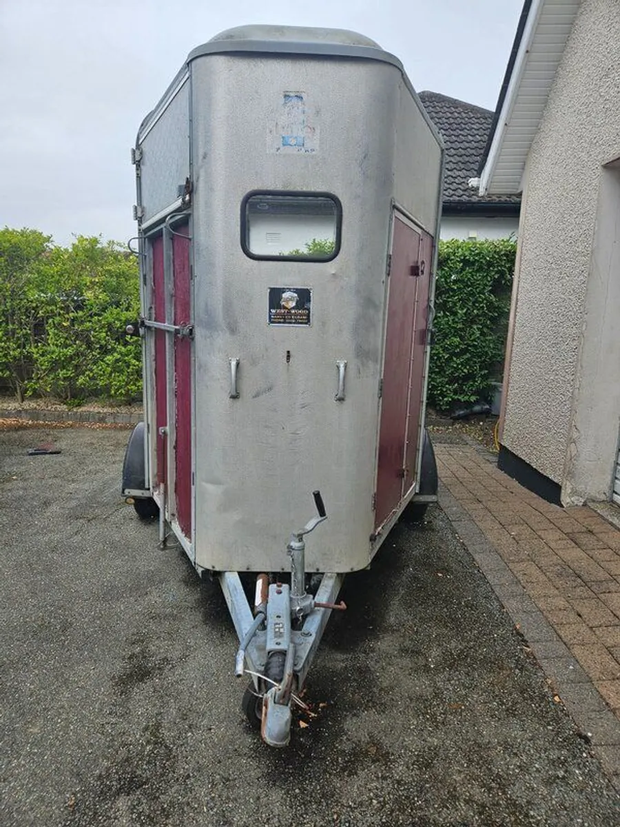 Ifor Williams 505 Horsebox for Sale in Co Meath - Image 1
