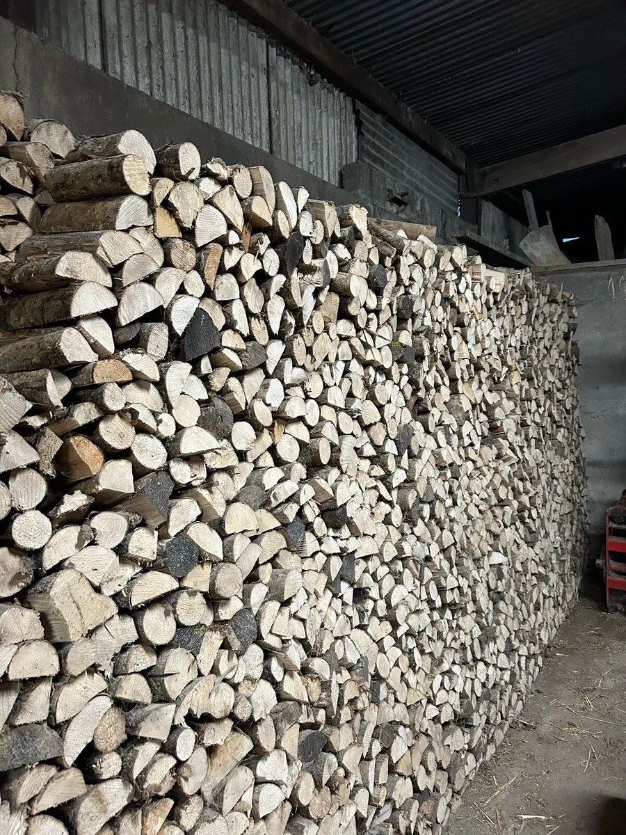 Ash Firewood - Image 1