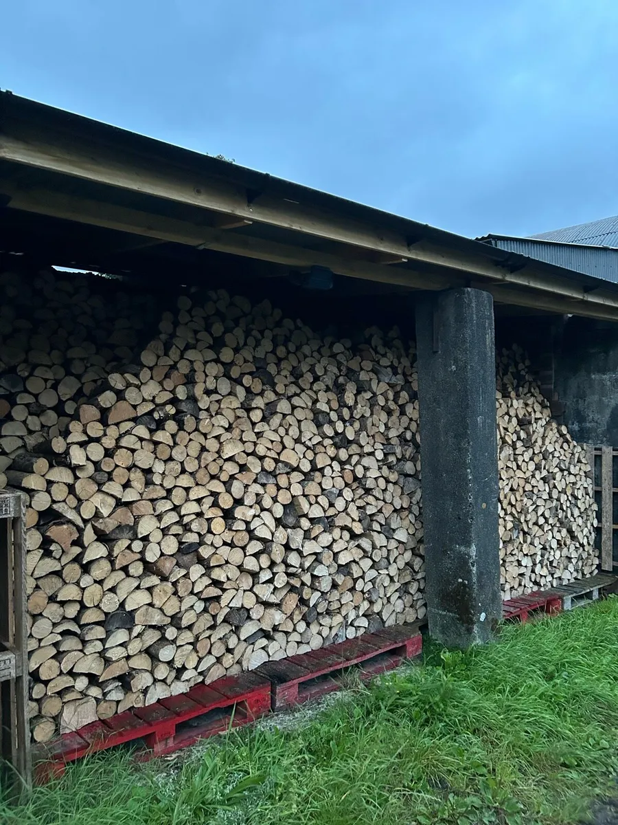 Ash Firewood - Image 2