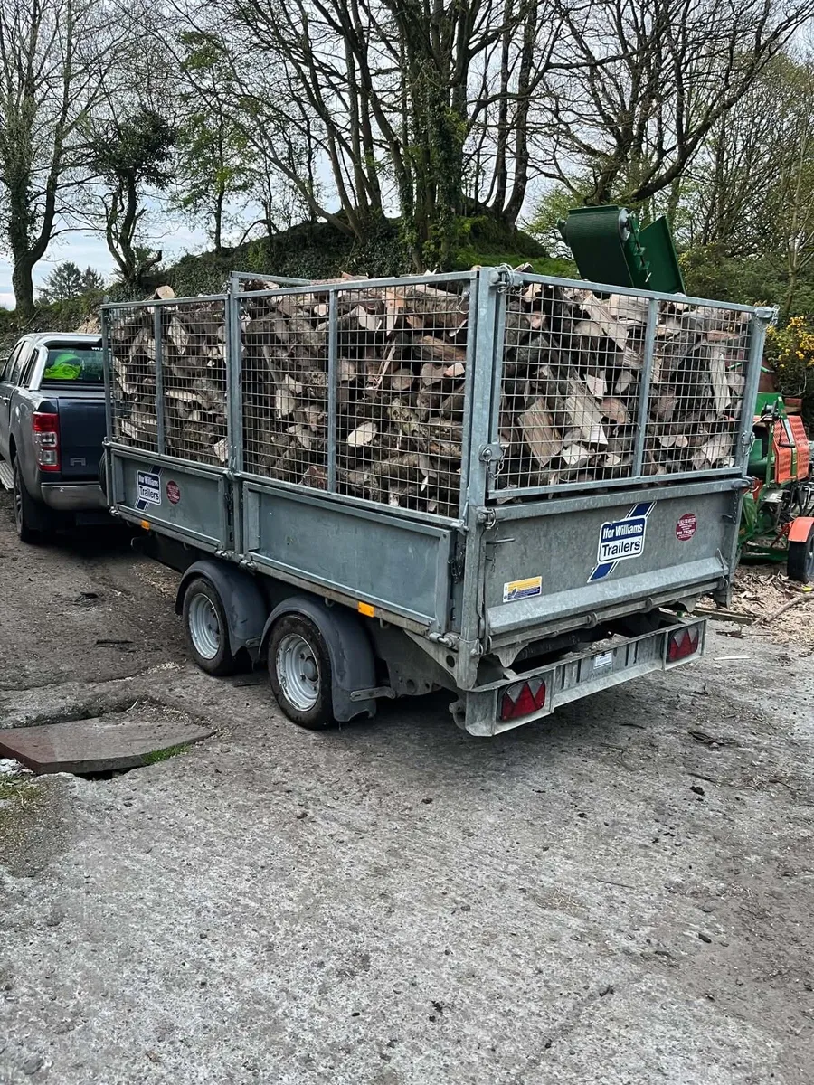 Ash Firewood - Image 4