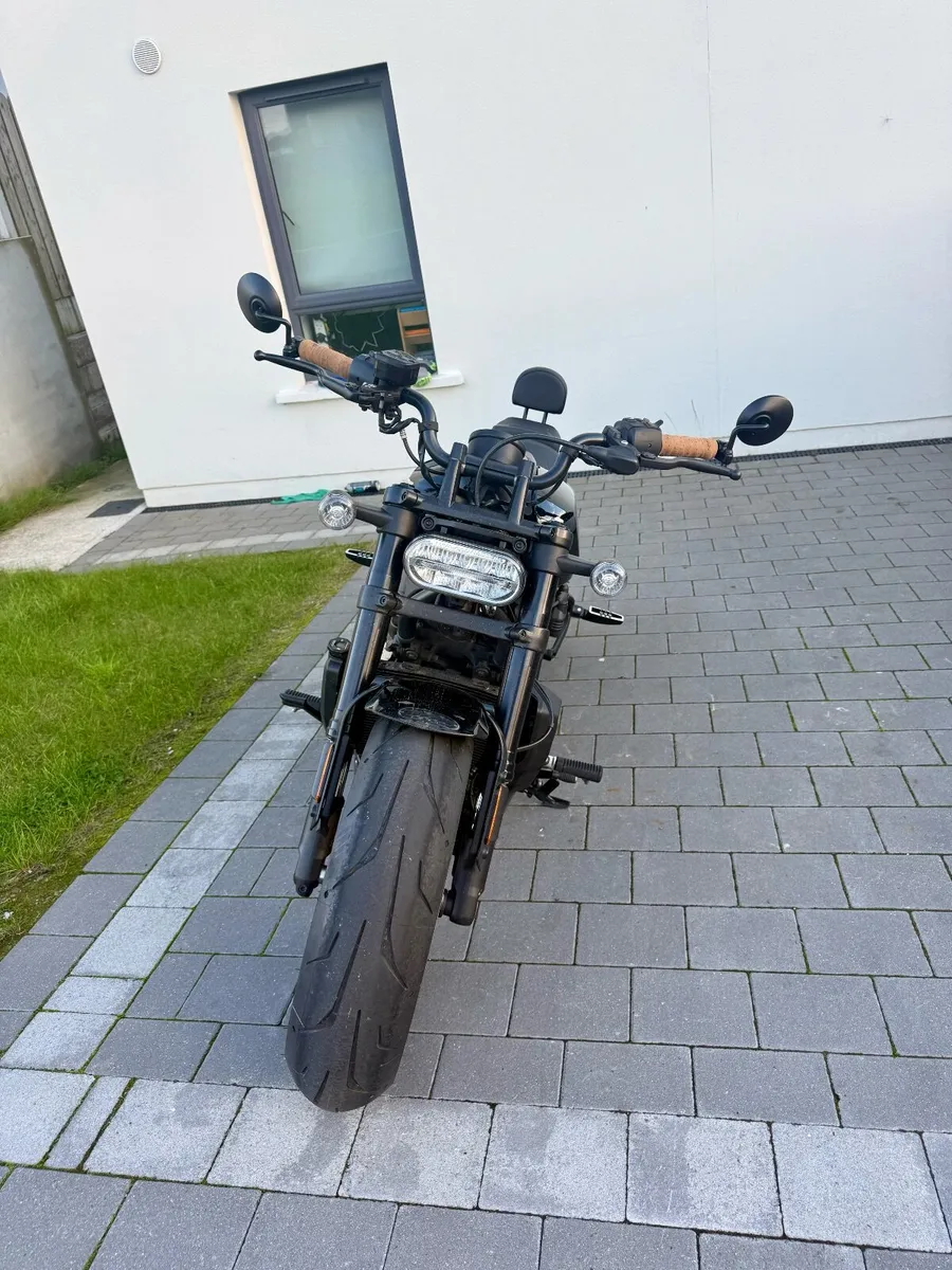 HARLEY DAVIDSON SPORTSTER 2024 - Image 3