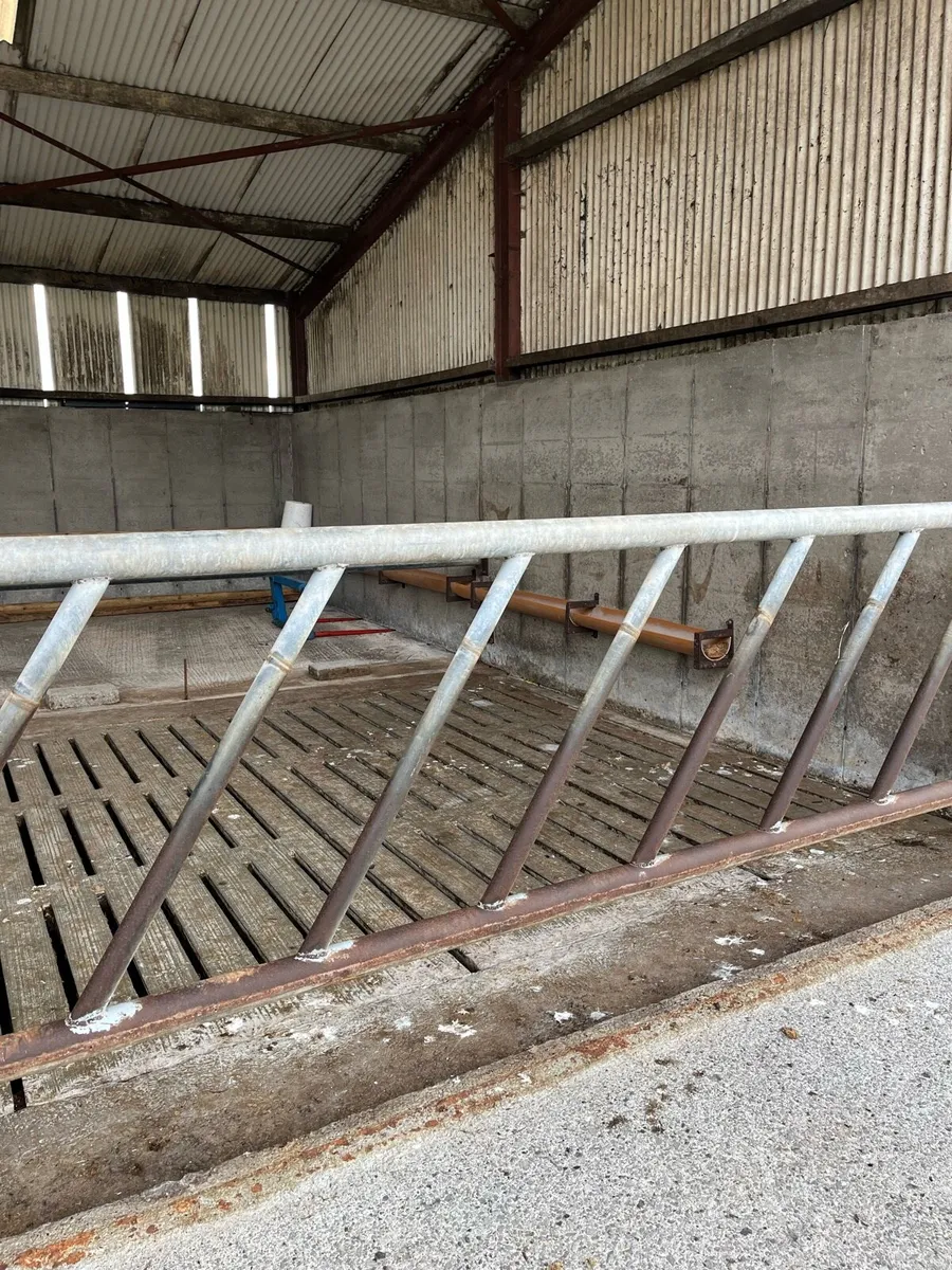 Used Cattle Feed Barriers - Image 2