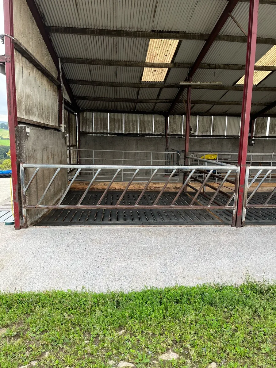 Used Cattle Feed Barriers - Image 1