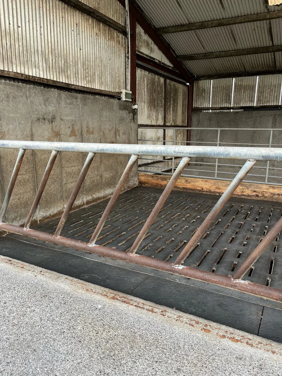 Used Cattle Feed Barriers - Image 3