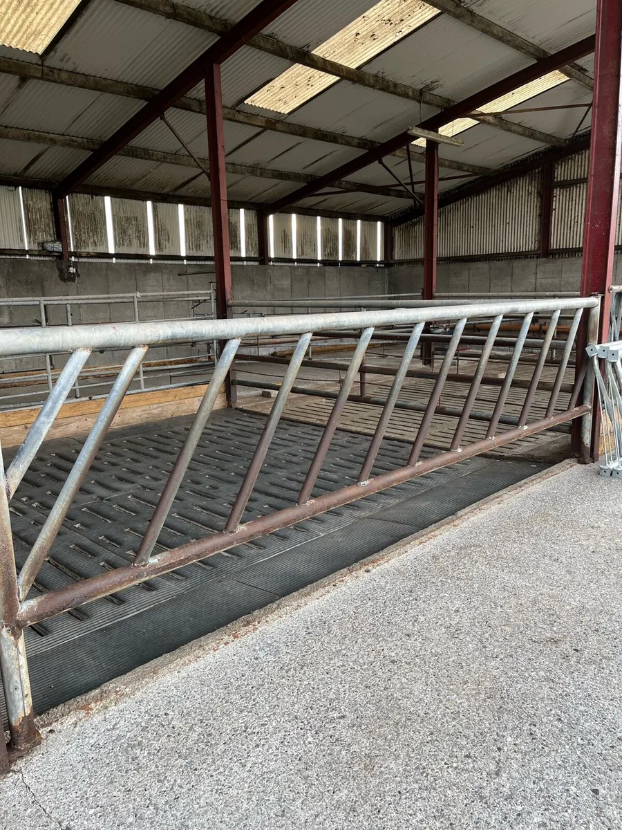 Used Cattle Feed Barriers - Image 4