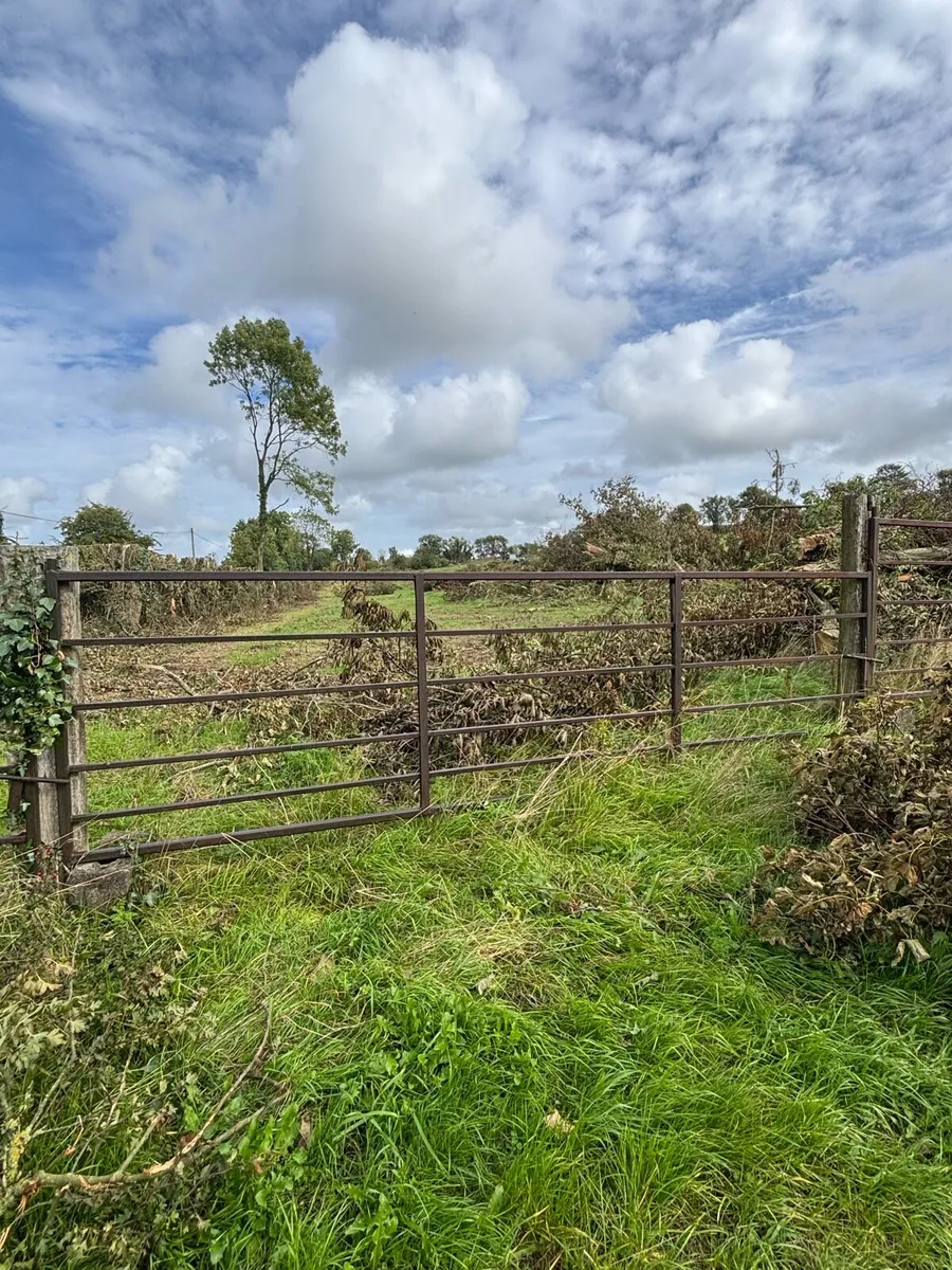 Old style farm gates