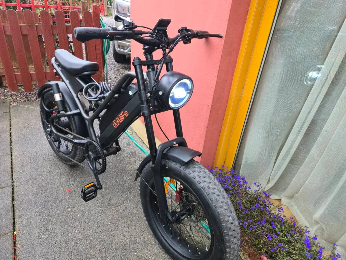 Electric bike - Image 2