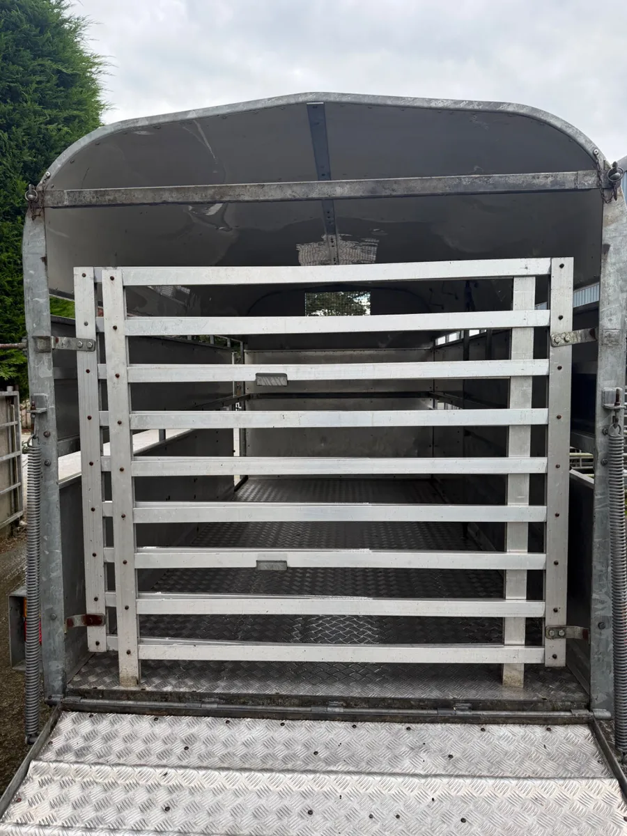 Nugent livestock trailer - Image 4