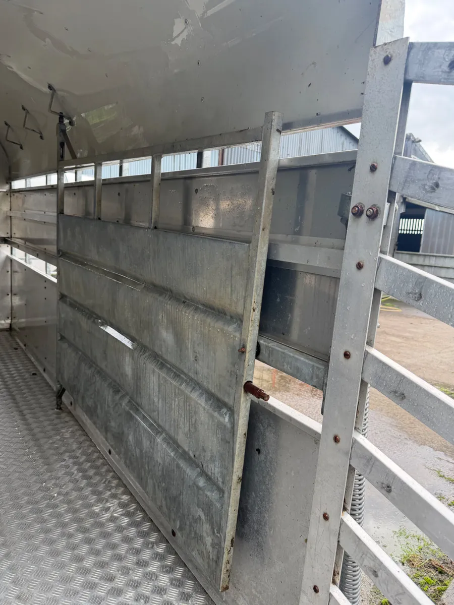 Nugent livestock trailer - Image 2