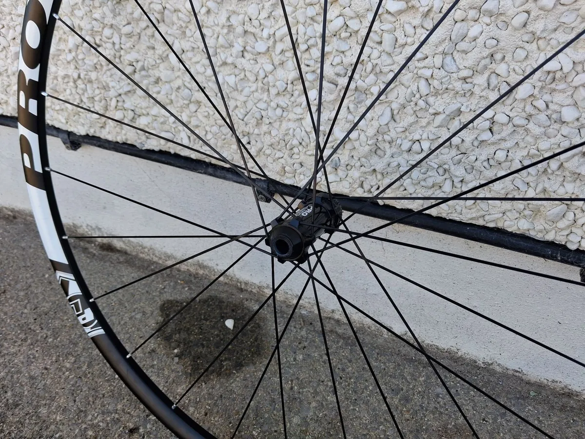 Road bike wheels ProLite Bortola disc - Image 4