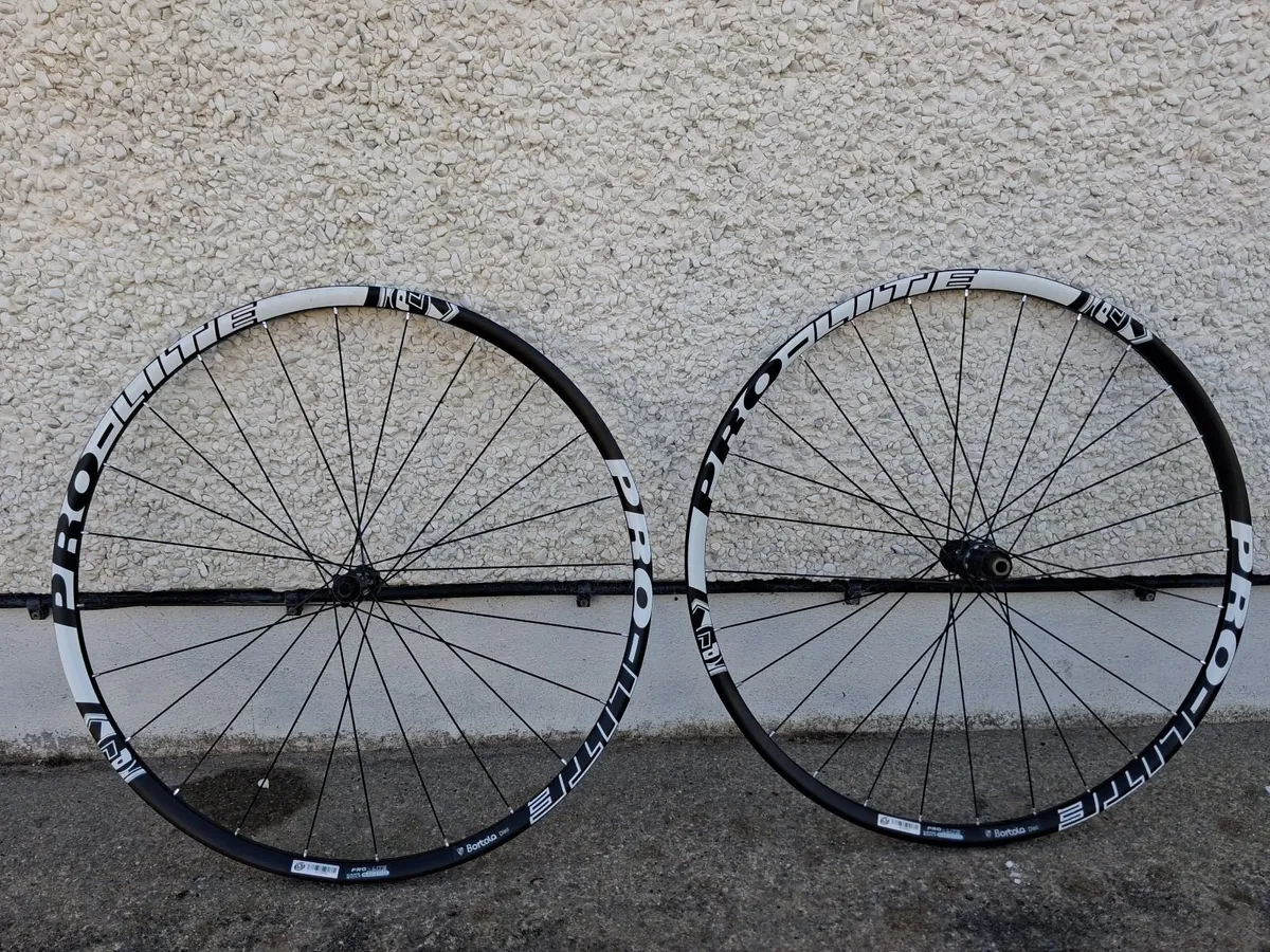 Road bike wheels ProLite Bortola disc - Image 1