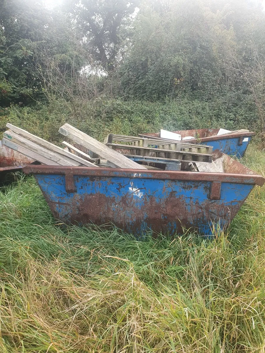 Skips - Image 1