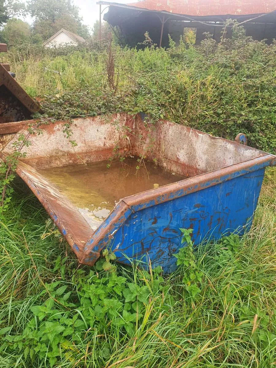 Skips - Image 4