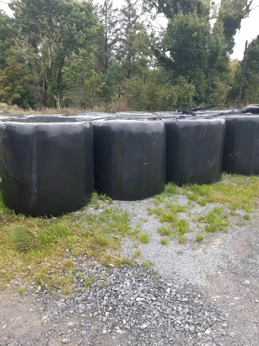 Silage round bales - Image 1