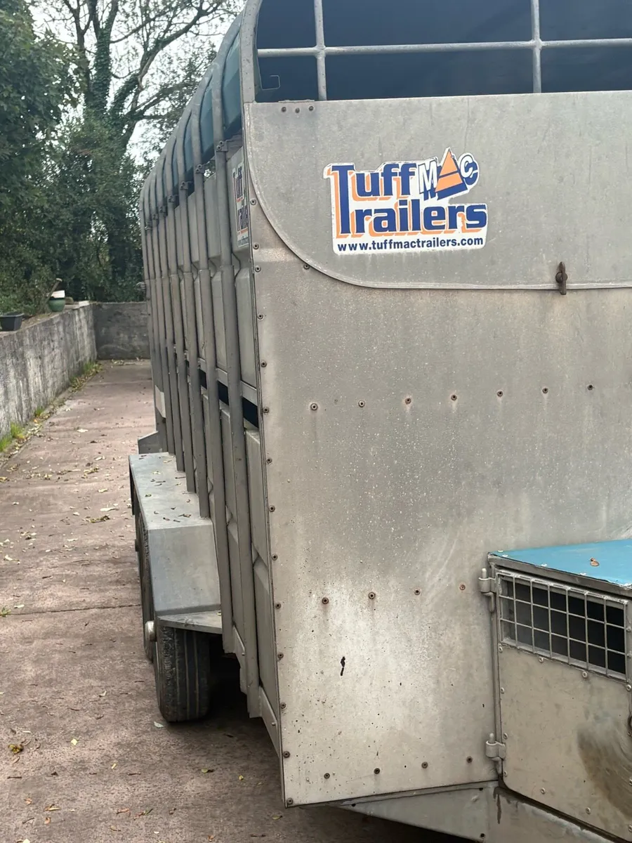 Tuffmac cattle trailer - Image 3