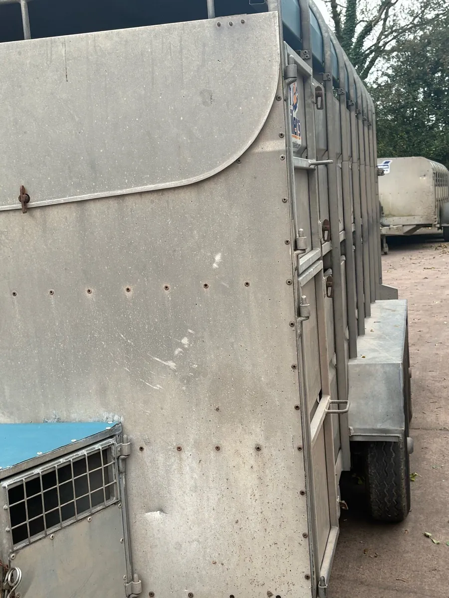 Tuffmac cattle trailer - Image 1