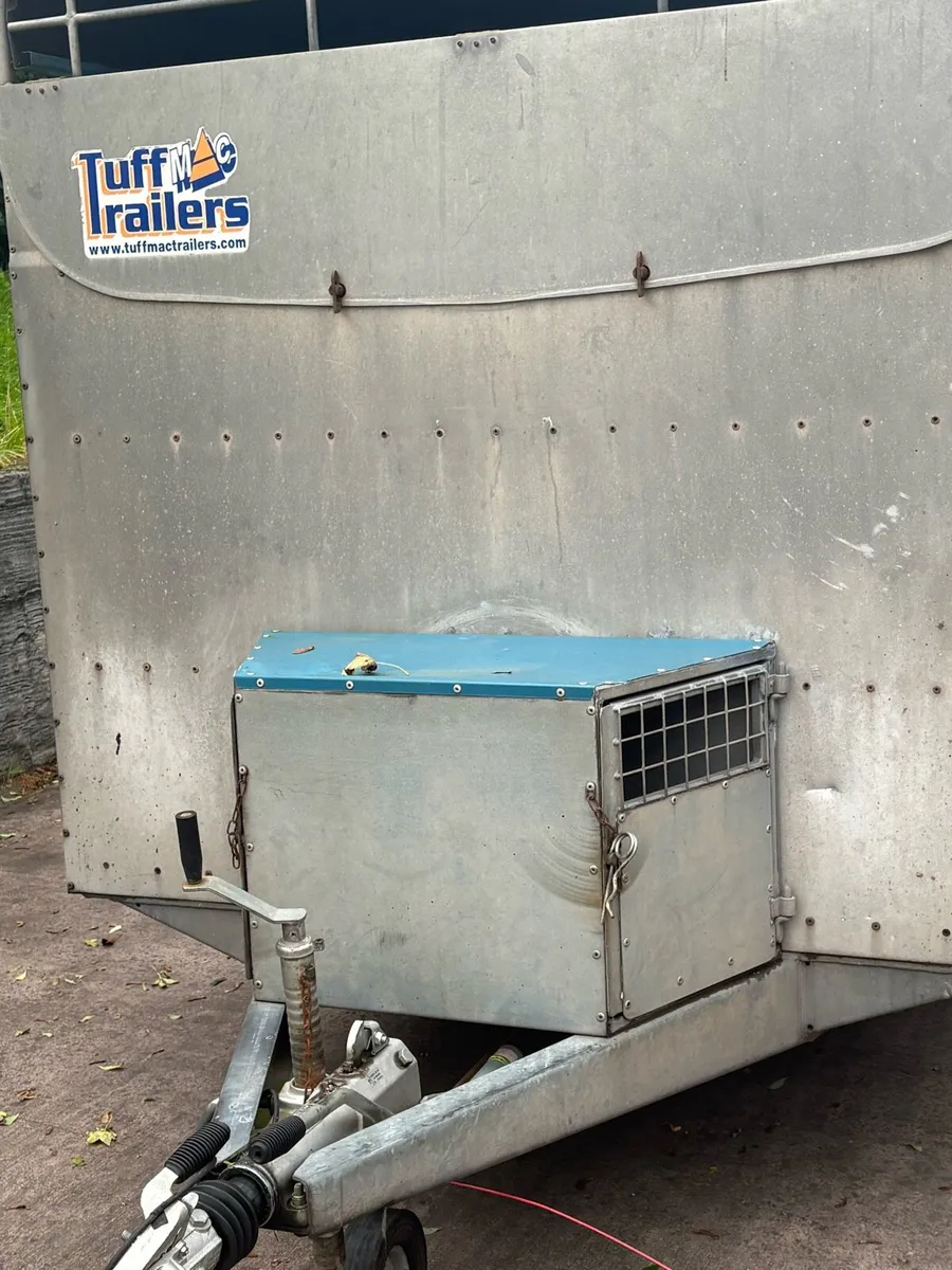 Tuffmac cattle trailer - Image 4
