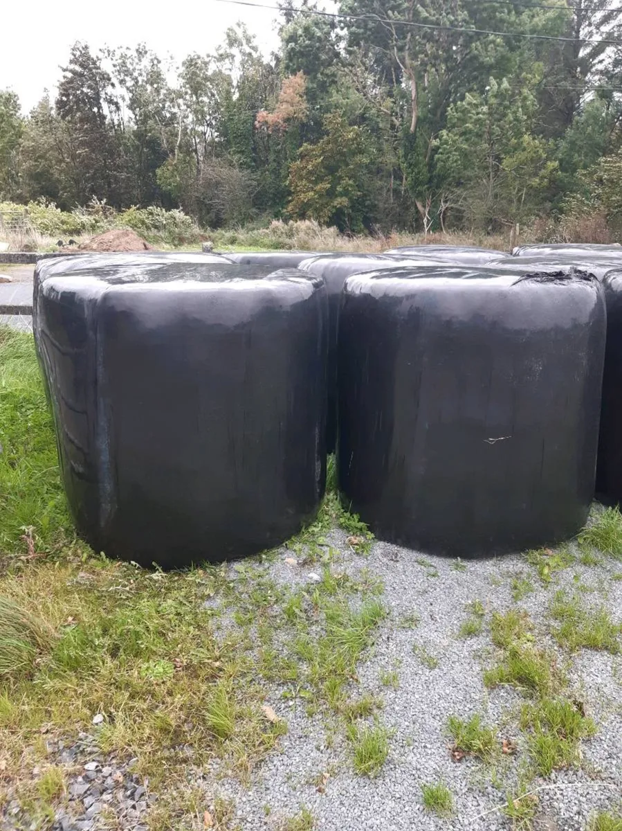 Silage round bales - Image 2