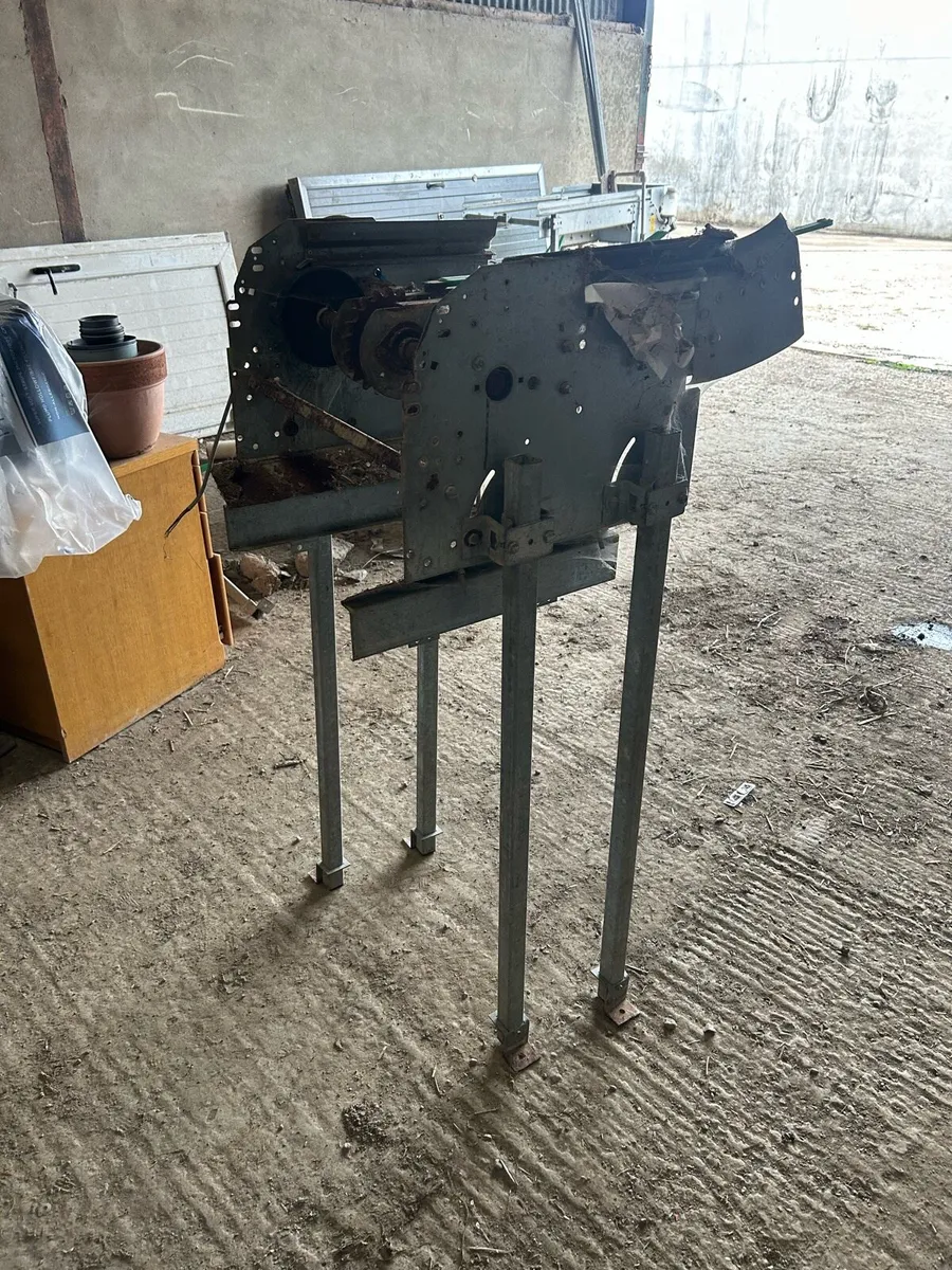 Egg belt and conveyors - Image 4
