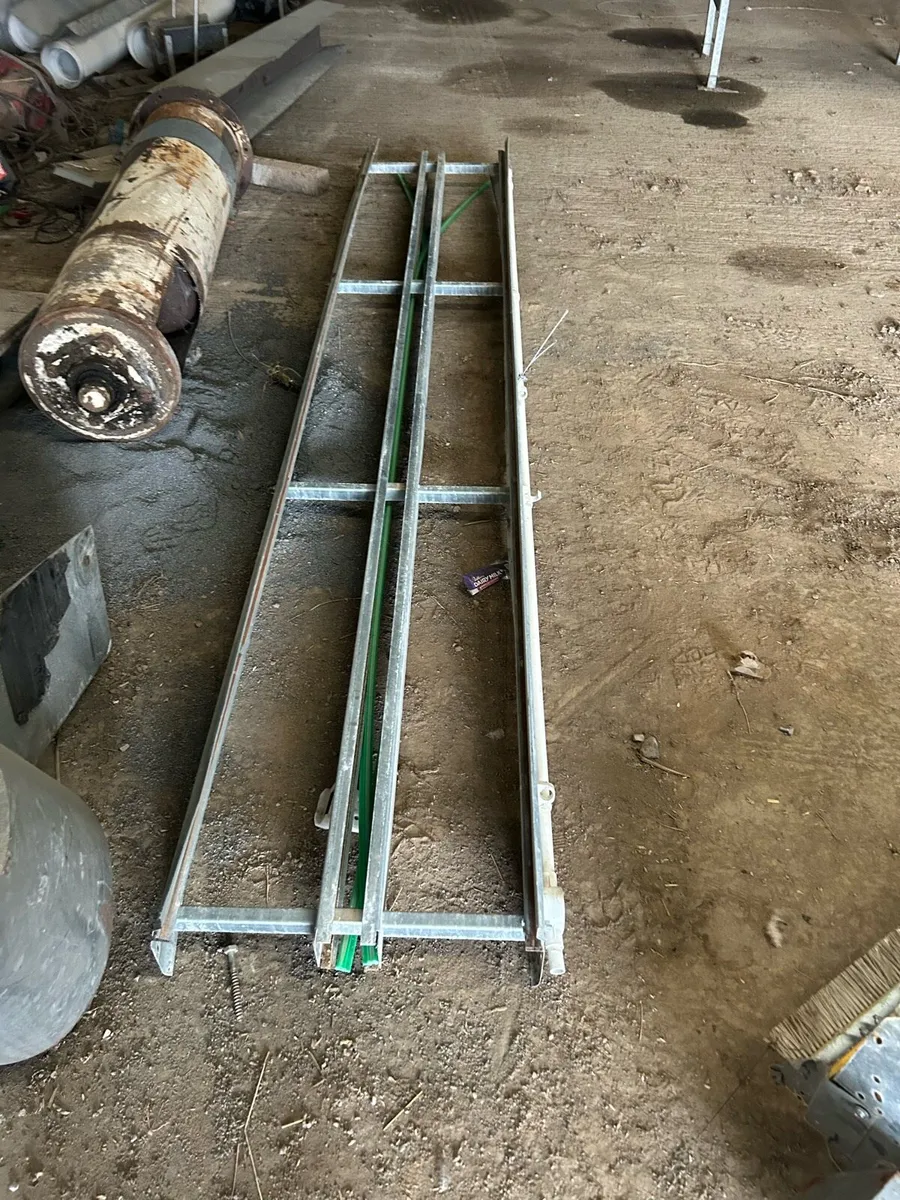 Egg belt and conveyors - Image 2