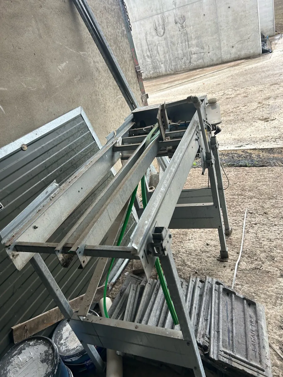 Egg belt and conveyors - Image 3