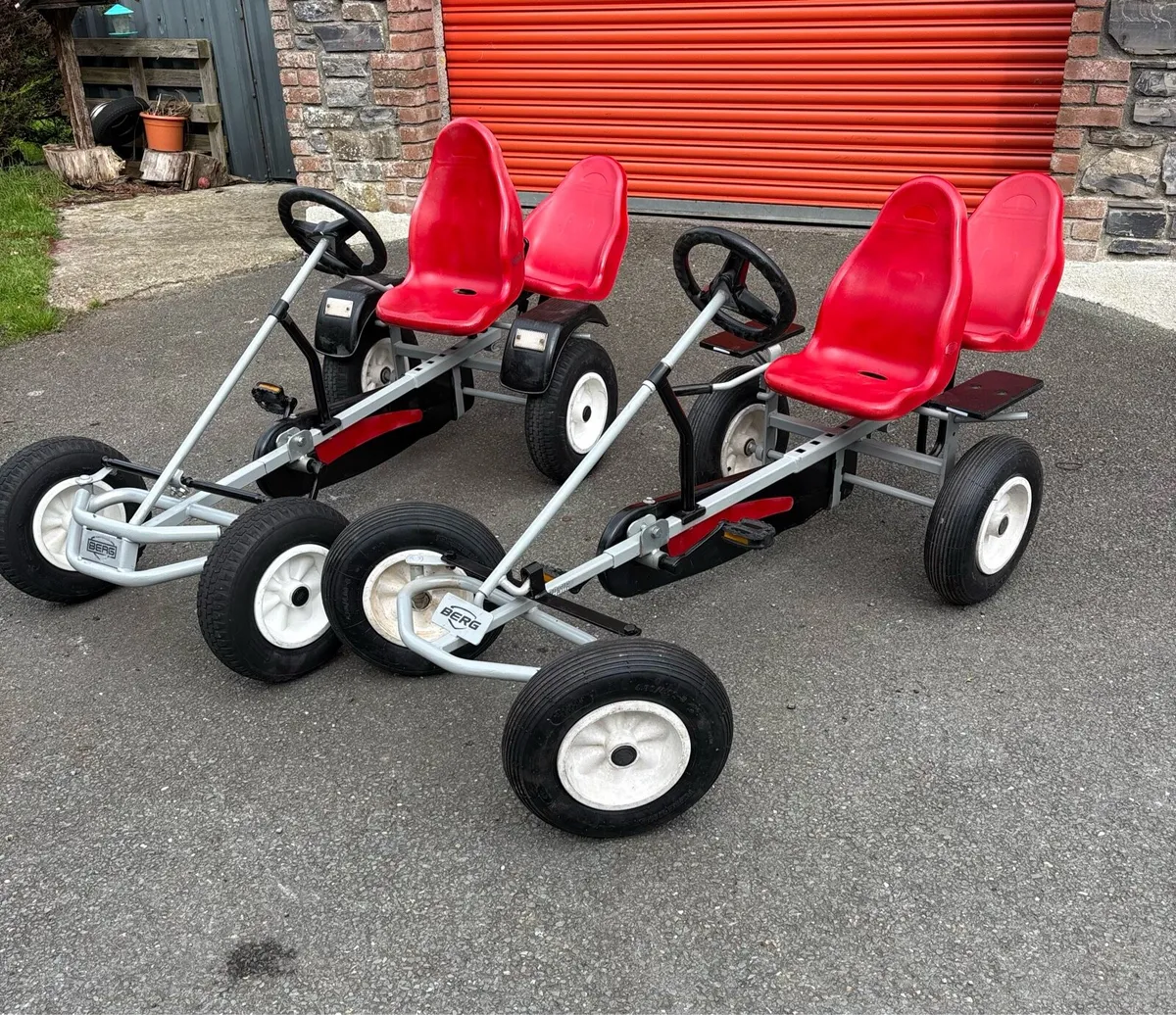 Berg Go Carts - Image 2