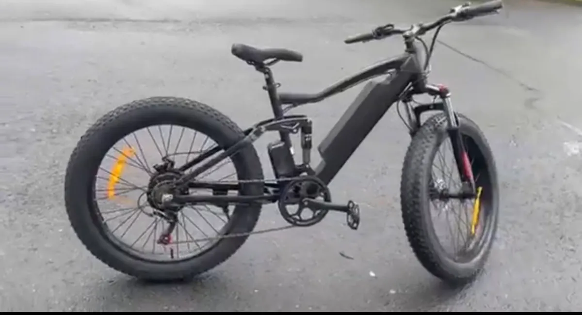 EVO 1 electric fat bike - Image 1