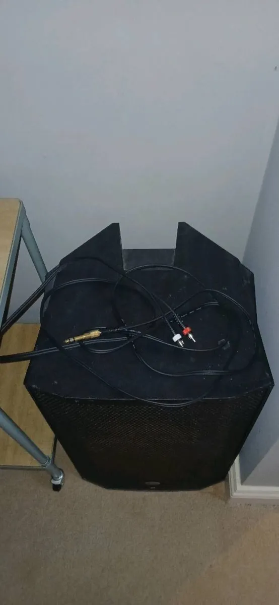 Speaker - Image 4