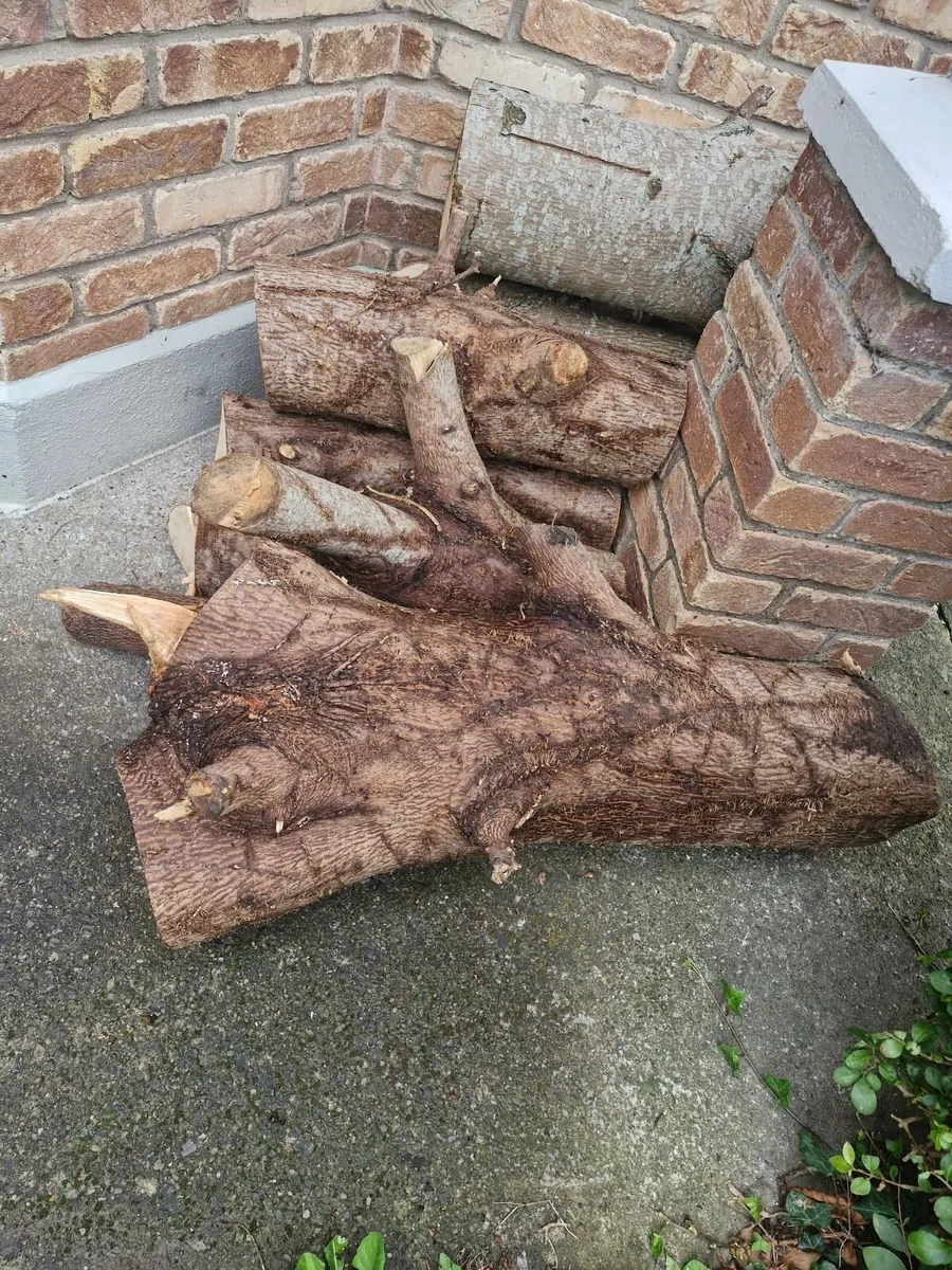 Free Firewood - Must Cut and Collect Yourself - Image 2