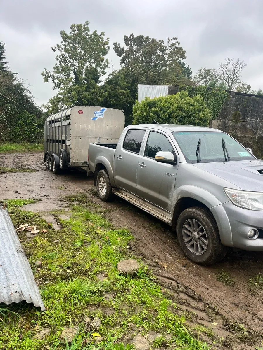 Livestock haulage