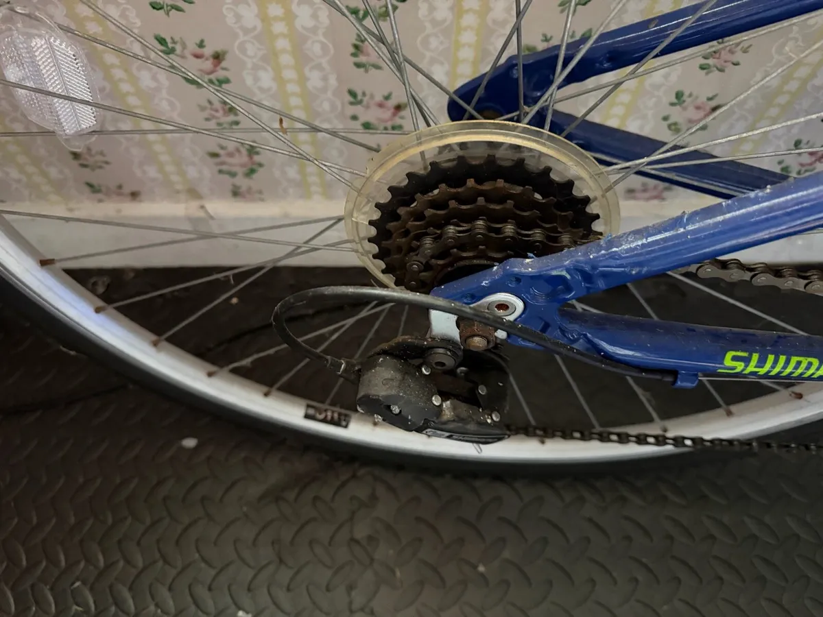 Bicycle - Image 4
