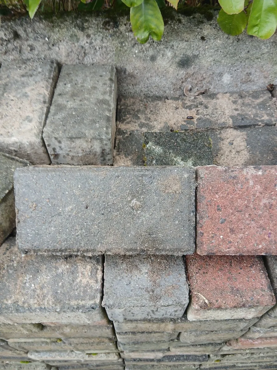 Paving Bricks - Image 1