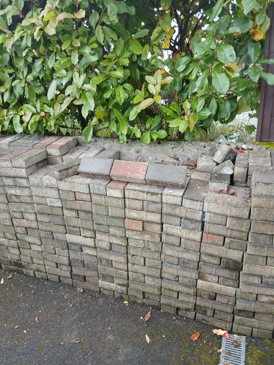 Paving Bricks - Image 2