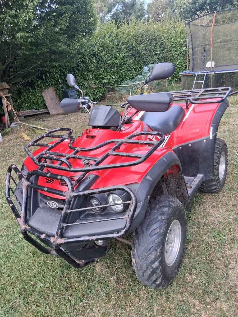 Quad for sale - Image 2