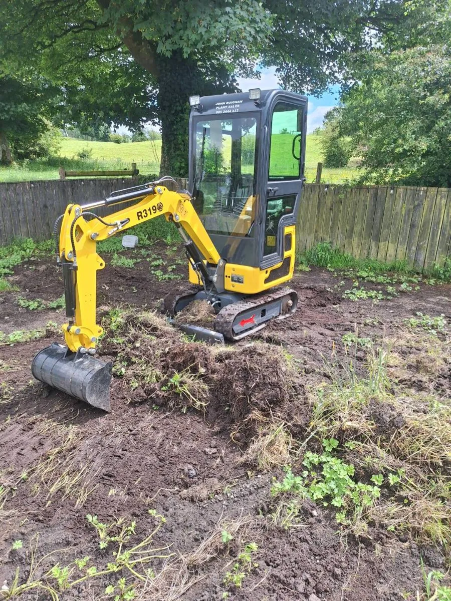 Rippa 1 ton digger - Image 1