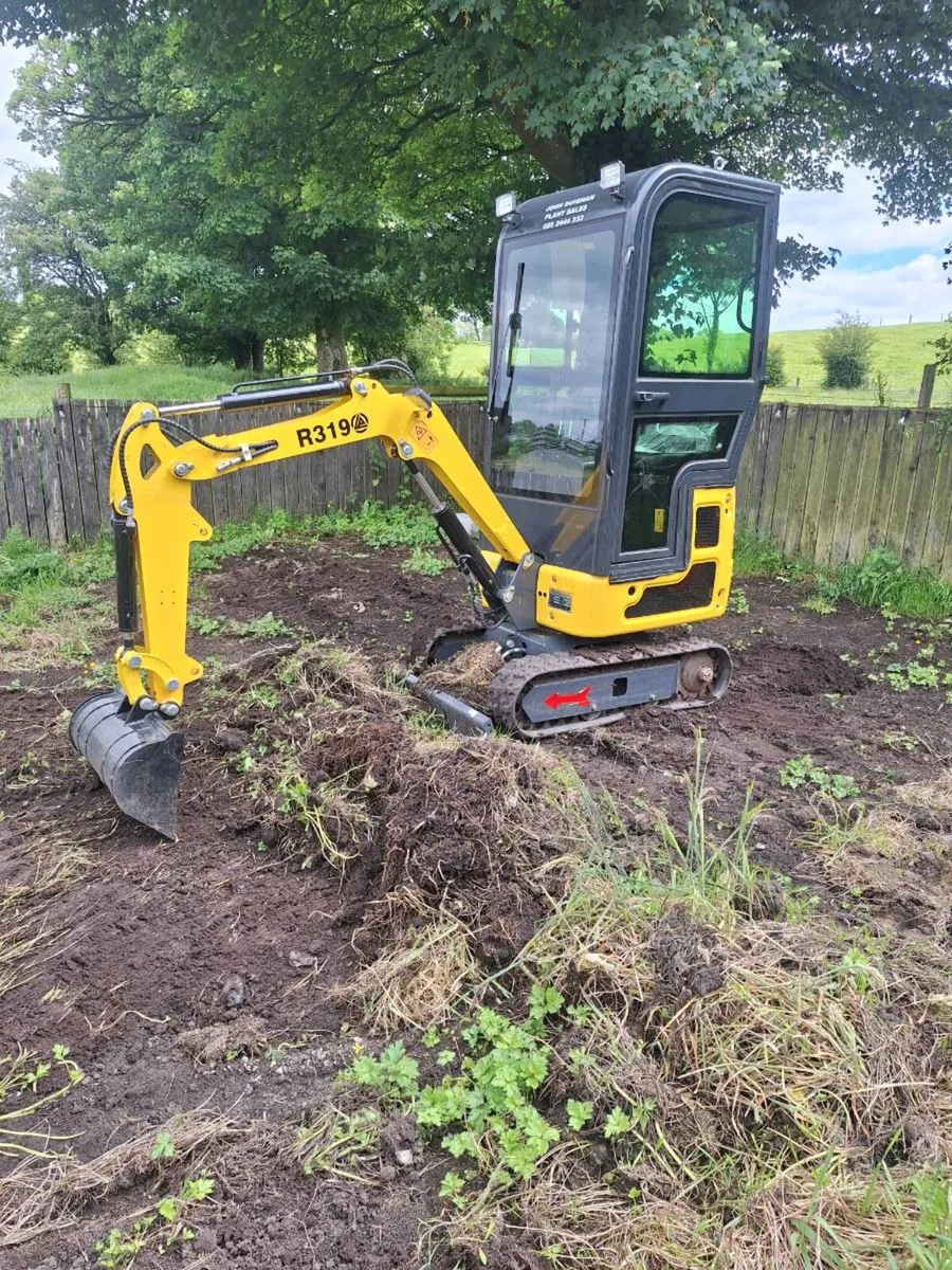 Rippa 1 ton digger - Image 2