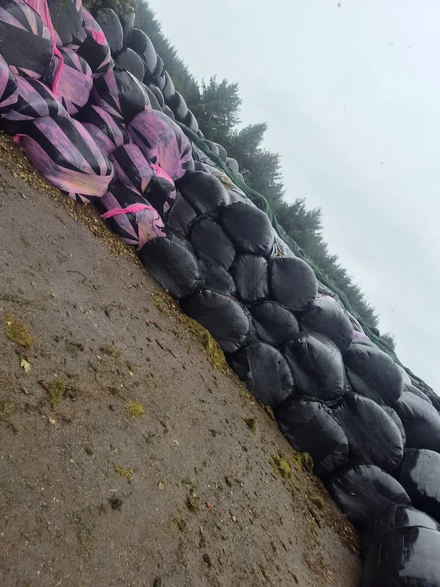 Silage bales - Image 2