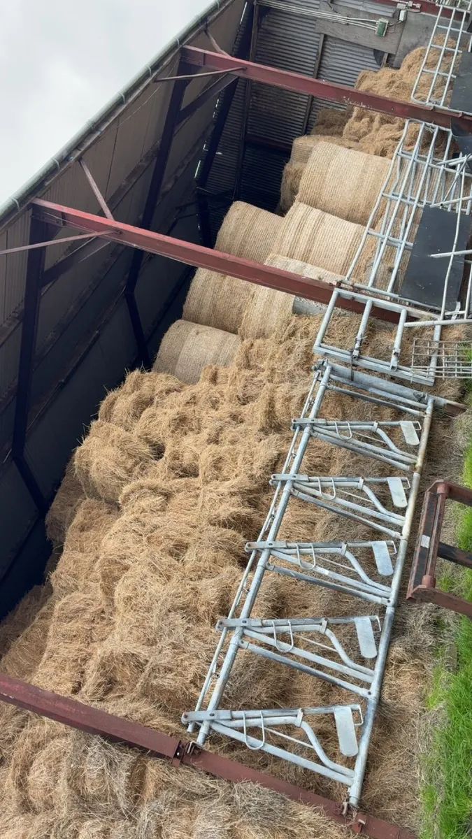 Round and small square bales of hay - Image 1