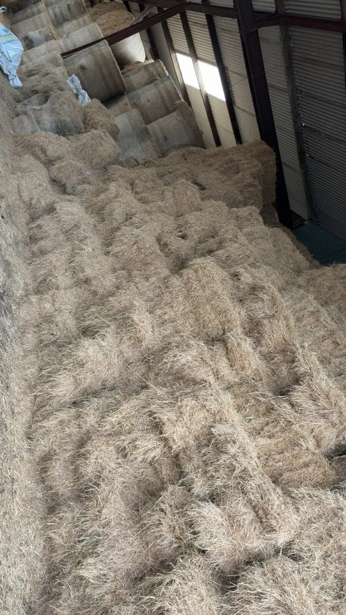 Round and small square bales of hay - Image 2