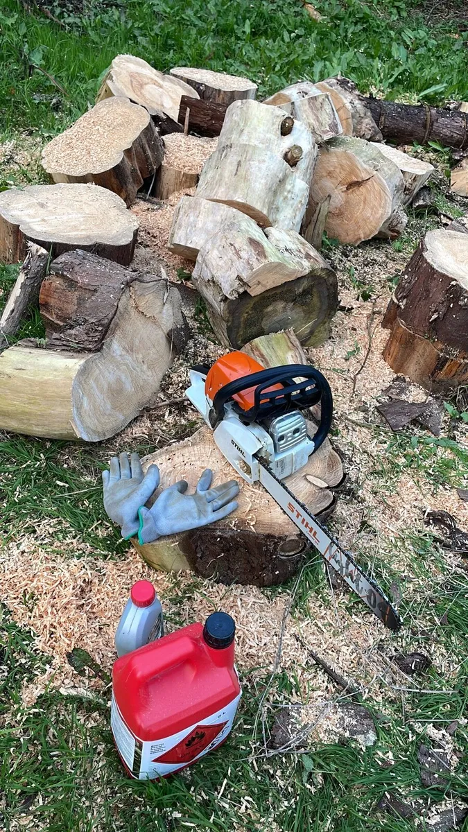 Timber - Image 1
