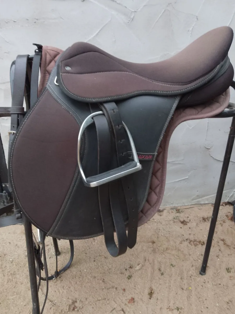 Saddle and Bridle - Image 4