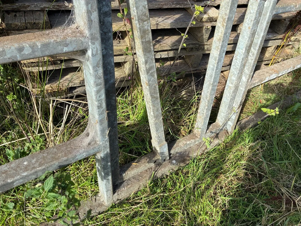Locking Head Gate - Image 3