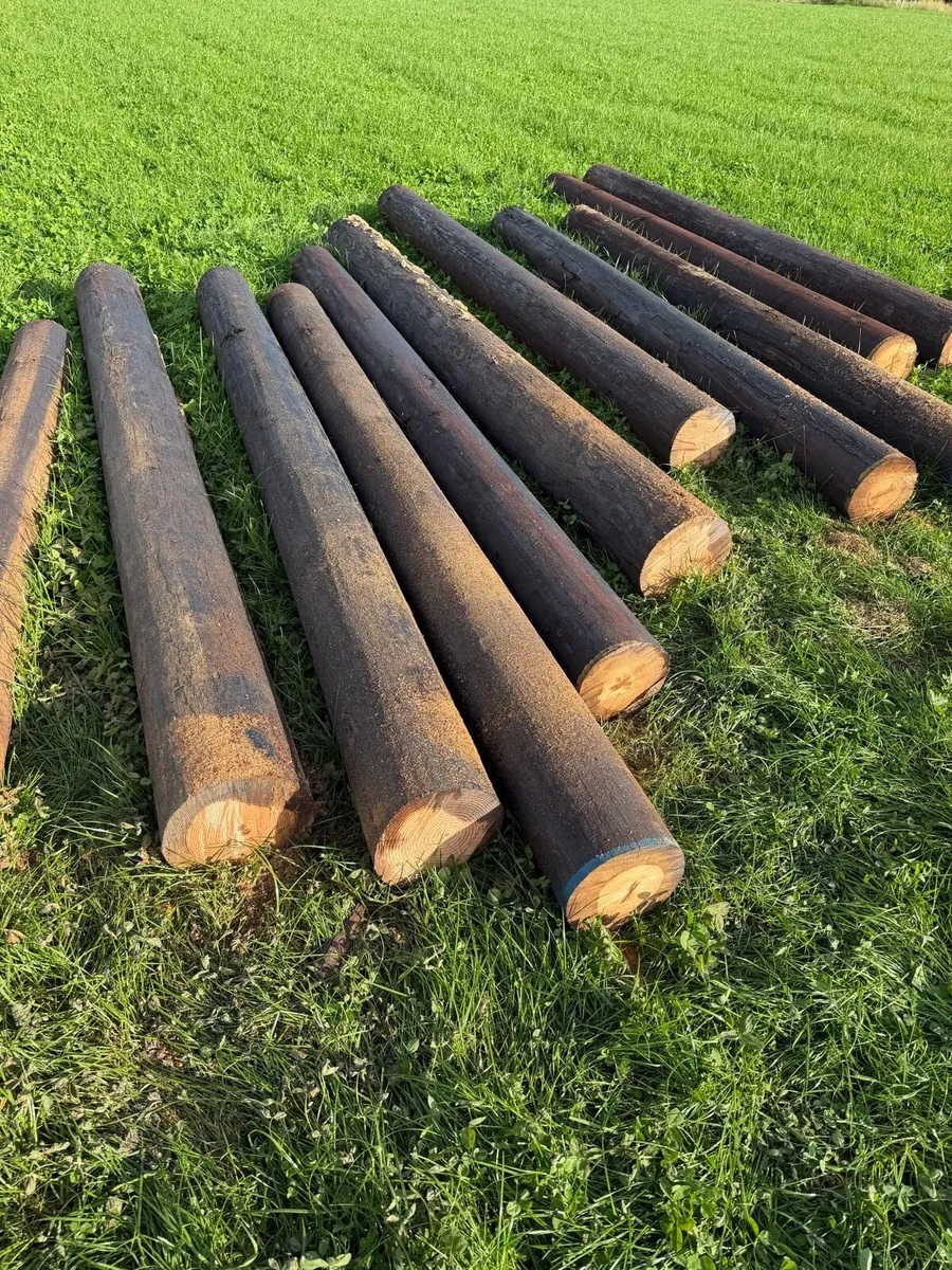 Gate Posts - Image 3