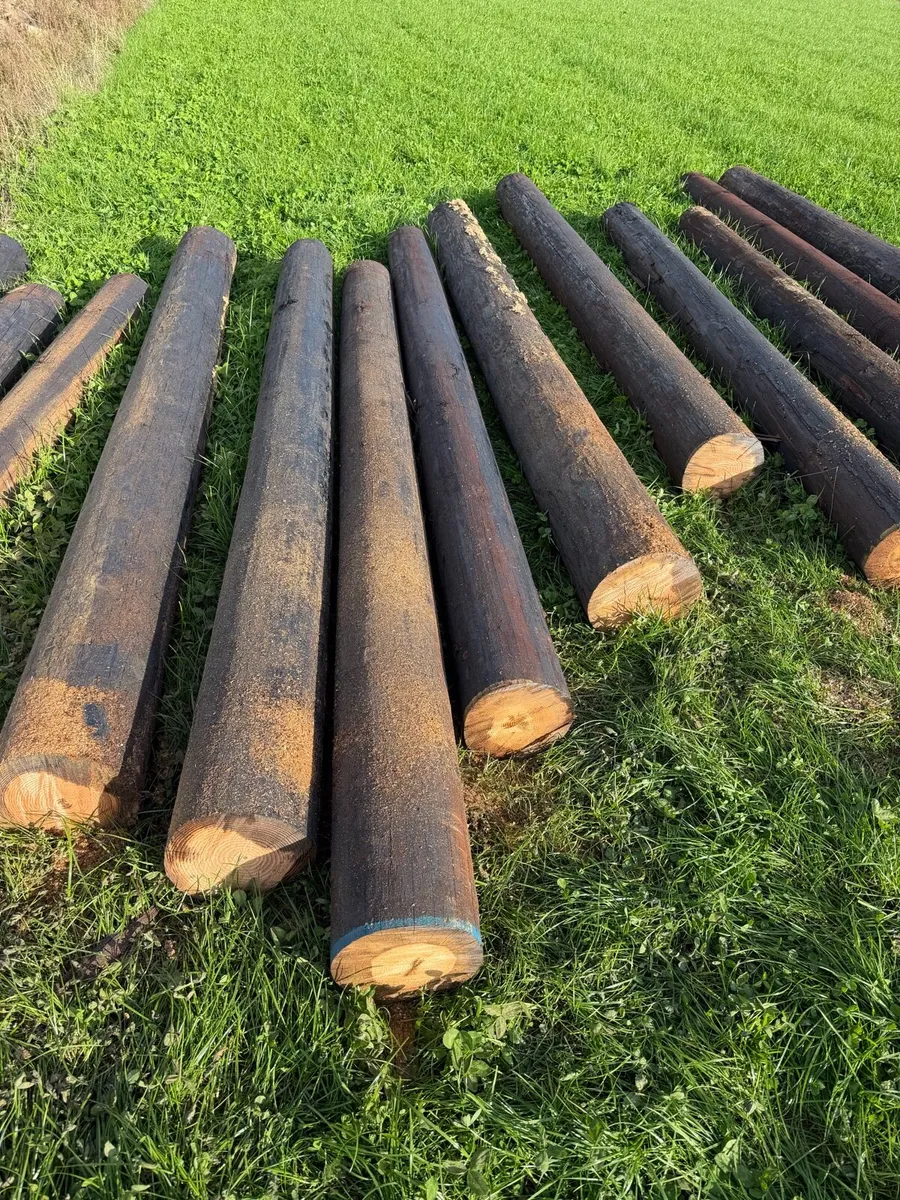 Gate Posts - Image 4