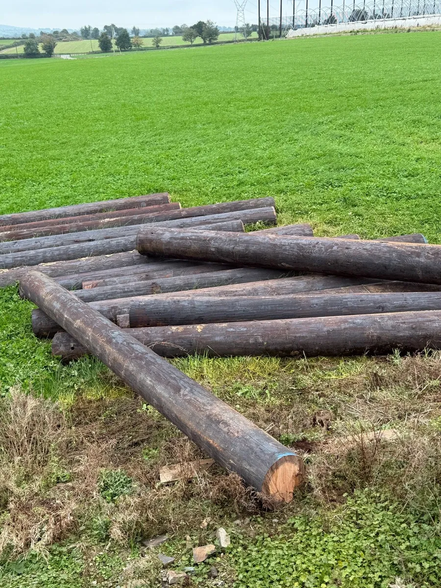 Gate Posts - Image 1