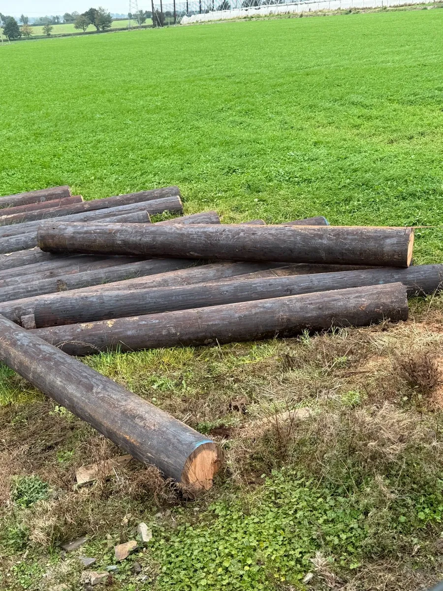 Gate Posts - Image 2