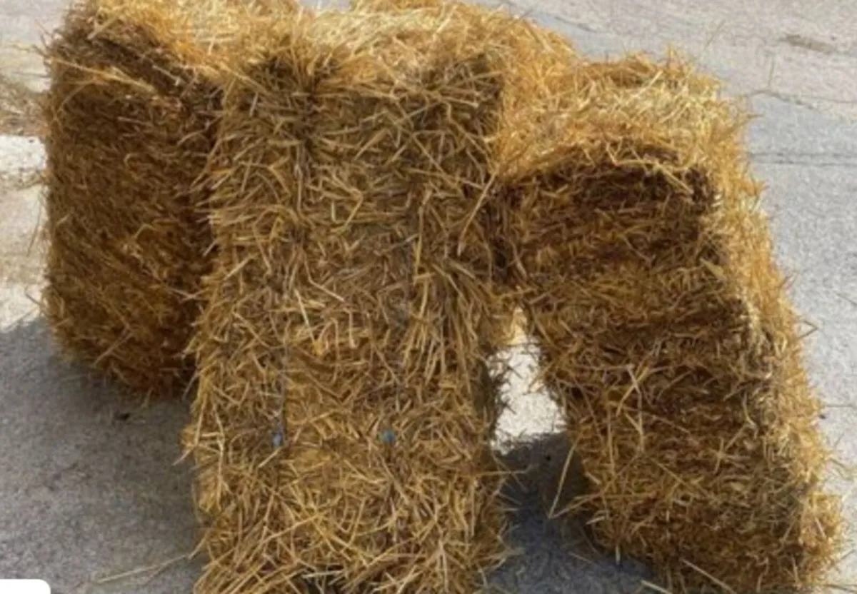 Small Bales Straw - Image 2