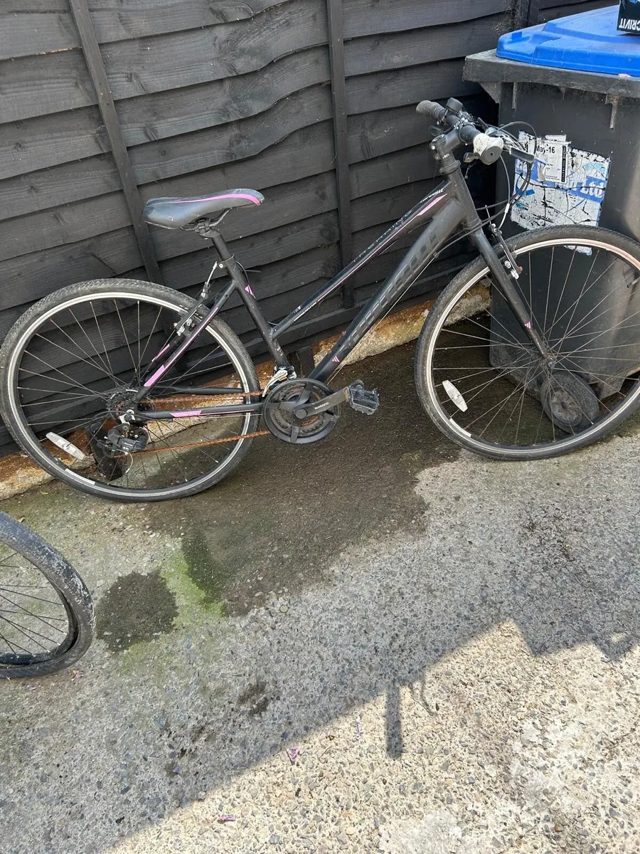2 adults bikes  2 female - Image 1